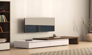 Revolutionary TV Units: Can Your Living Room Handle the Future of Entertainment?