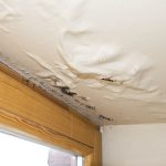 Water Damage Restoration: Safeguarding Your Home And Health