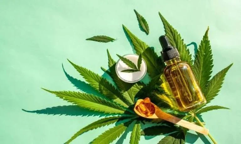 Trending Best Delta 8 Flower Selections for Modern Hemp Users